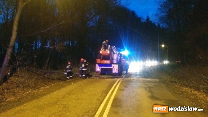Zdjęcie w galerii na portalu naszwodzislaw.com: Wczorajszy wiatr przyczyną utrudnień na drodze. Na szczęście obyło się bez poważnych zdarzeń zagrażających życiu wiadomości z regionu