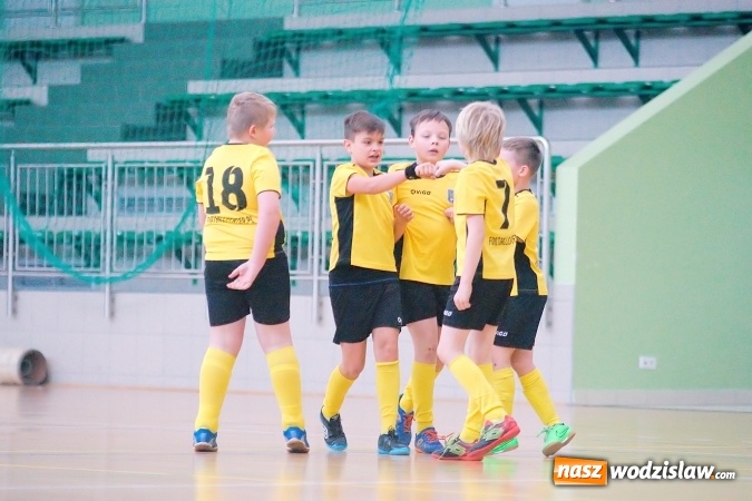 Zdjęcie w galerii na portalu naszwodzislaw.com: MKP Odra Centrum zwycięzcą Halowej Ligi Orlików wiadomości z regionu