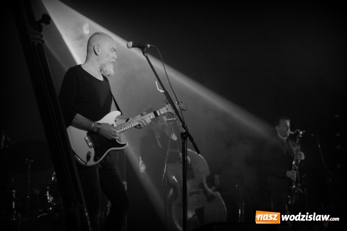 Zdjęcie w galerii na portalu naszwodzislaw.com: Grupa Voo Voo zagrała dla wodzisławskiej publiczności wiadomości z regionu