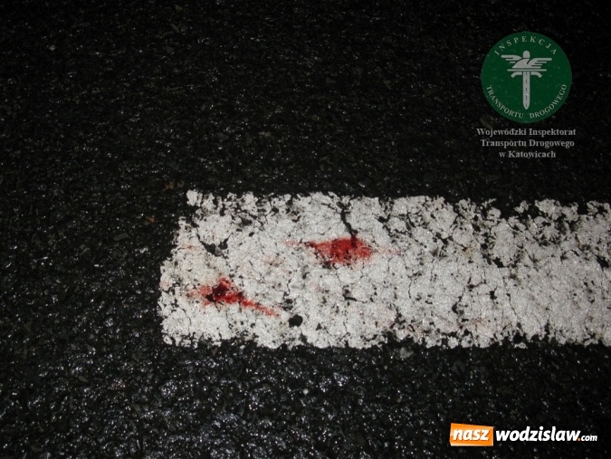 Zdjęcie w galerii na portalu naszwodzislaw.com: Napadł na inspektora, zdemolował radiowóz i zjadł kartę kierowcy wiadomości z regionu