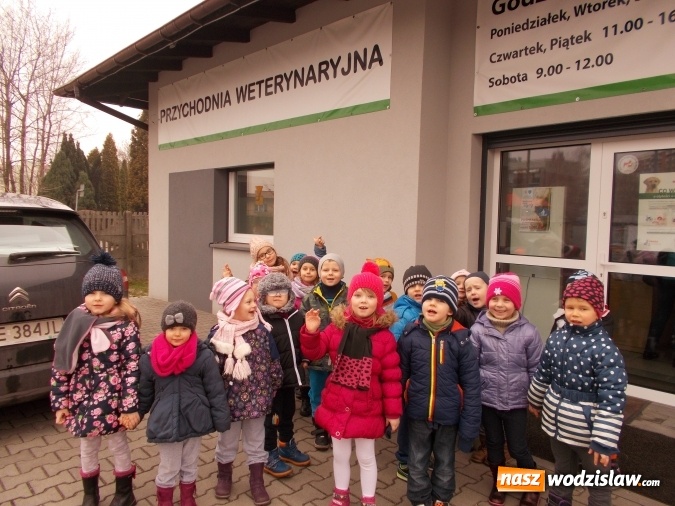 Zdjęcie w galerii na portalu naszwodzislaw.com: Przedszkolaki z PP numer 18 poznają ciekawe zawody. Za nimi spotkanie z weterynarzem  wiadomości z regionu