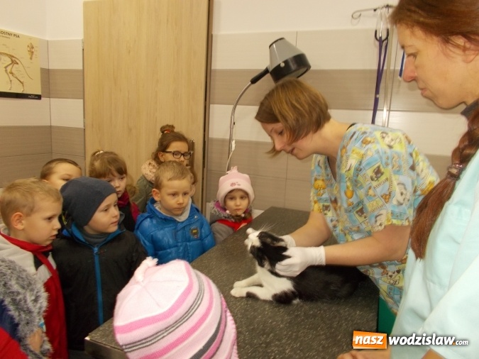 Zdjęcie w galerii na portalu naszwodzislaw.com: Przedszkolaki z PP numer 18 poznają ciekawe zawody. Za nimi spotkanie z weterynarzem  wiadomości z regionu