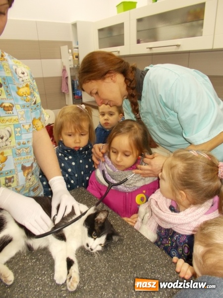 Zdjęcie w galerii na portalu naszwodzislaw.com: Przedszkolaki z PP numer 18 poznają ciekawe zawody. Za nimi spotkanie z weterynarzem  wiadomości z regionu