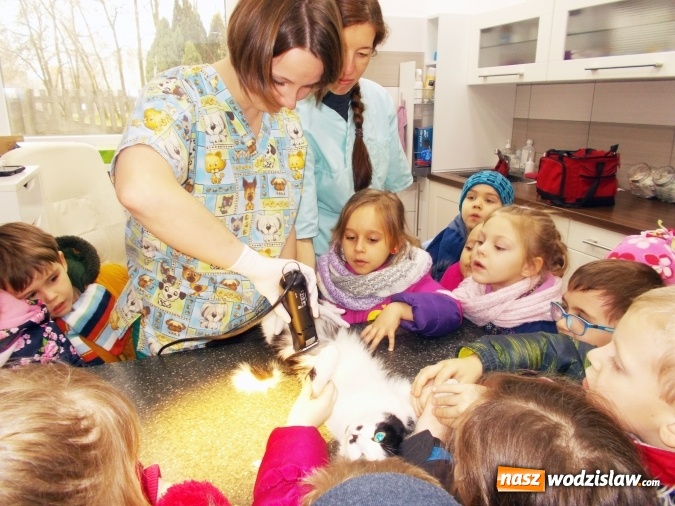 Zdjęcie w galerii na portalu naszwodzislaw.com: Przedszkolaki z PP numer 18 poznają ciekawe zawody. Za nimi spotkanie z weterynarzem  wiadomości z regionu