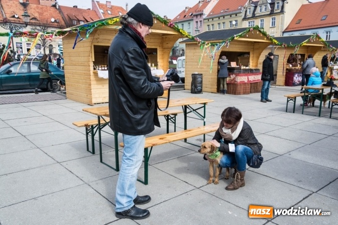 Zdjęcie w galerii na portalu naszwodzislaw.com: Za nami kolejny Festiwal Organizacji Pozarządowych wiadomości z regionu
