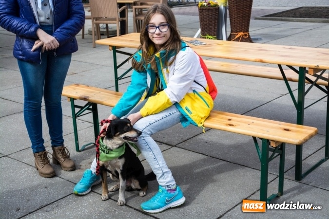 Zdjęcie w galerii na portalu naszwodzislaw.com: Za nami kolejny Festiwal Organizacji Pozarządowych wiadomości z regionu