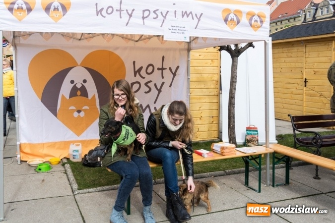 Zdjęcie w galerii na portalu naszwodzislaw.com: Za nami kolejny Festiwal Organizacji Pozarządowych wiadomości z regionu