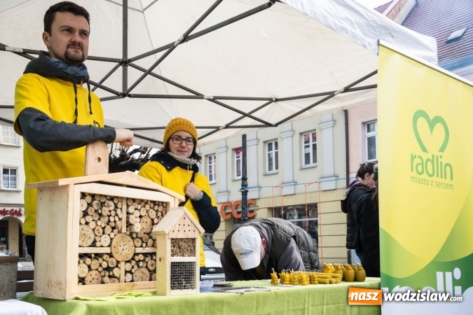 Zdjęcie w galerii na portalu naszwodzislaw.com: Za nami kolejny Festiwal Organizacji Pozarządowych wiadomości z regionu