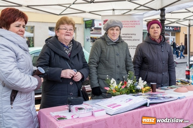 Zdjęcie w galerii na portalu naszwodzislaw.com: Za nami kolejny Festiwal Organizacji Pozarządowych wiadomości z regionu