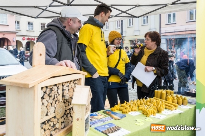 Zdjęcie w galerii na portalu naszwodzislaw.com: Za nami kolejny Festiwal Organizacji Pozarządowych wiadomości z regionu