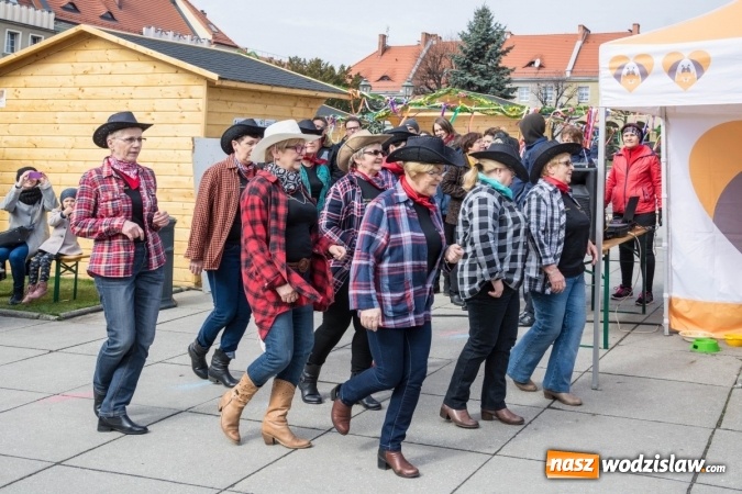 Zdjęcie w galerii na portalu naszwodzislaw.com: Za nami kolejny Festiwal Organizacji Pozarządowych wiadomości z regionu