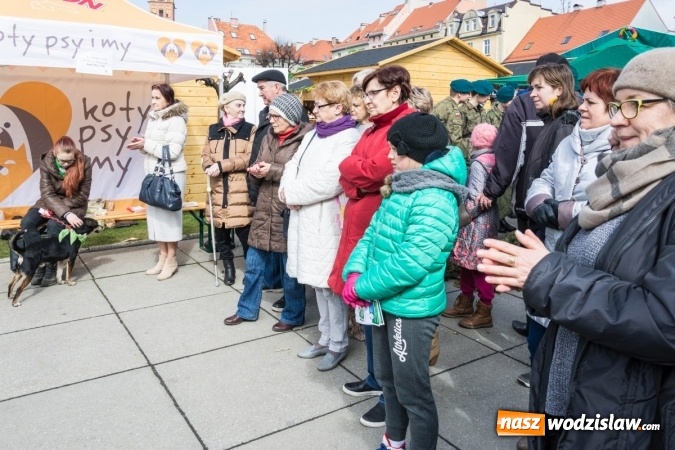 Zdjęcie w galerii na portalu naszwodzislaw.com: Za nami kolejny Festiwal Organizacji Pozarządowych wiadomości z regionu