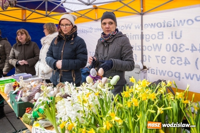 Zdjęcie w galerii na portalu naszwodzislaw.com: Za nami kolejny Festiwal Organizacji Pozarządowych wiadomości z regionu