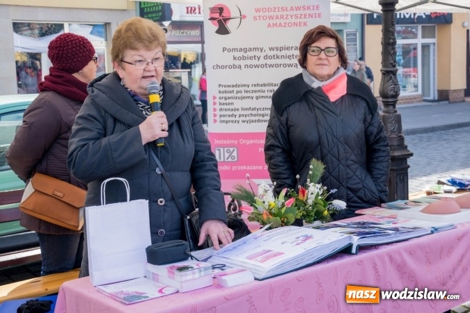 Zdjęcie w galerii na portalu naszwodzislaw.com: Za nami kolejny Festiwal Organizacji Pozarządowych wiadomości z regionu