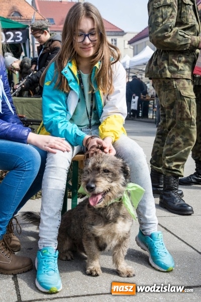 Zdjęcie w galerii na portalu naszwodzislaw.com: Za nami kolejny Festiwal Organizacji Pozarządowych wiadomości z regionu