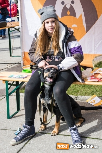 Zdjęcie w galerii na portalu naszwodzislaw.com: Za nami kolejny Festiwal Organizacji Pozarządowych wiadomości z regionu