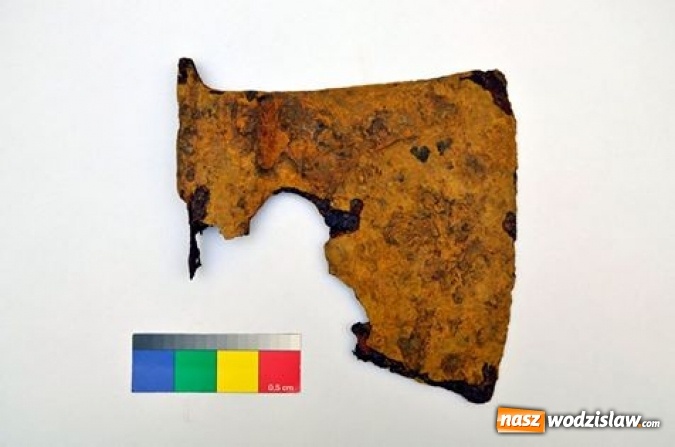 Zdjęcie w galerii na portalu naszwodzislaw.com: Znalezisko archeologiczne w Turzy Śląskiej. Ze stawu wydobyto topór wiadomości z regionu