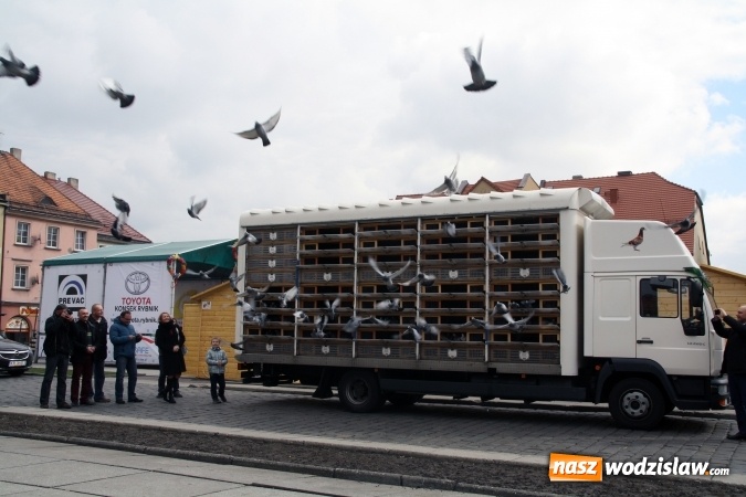 Zdjęcie w galerii na portalu naszwodzislaw.com: Wodzisławskie przedszkolaki powitały wiosnę wiadomości z regionu