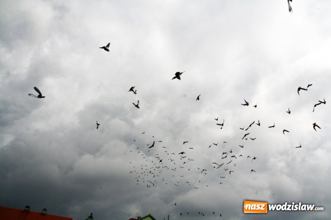 Zdjęcie w galerii na portalu naszwodzislaw.com: Wodzisławskie przedszkolaki powitały wiosnę wiadomości z regionu