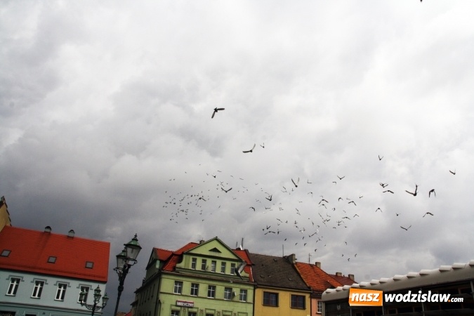 Zdjęcie w galerii na portalu naszwodzislaw.com: Wodzisławskie przedszkolaki powitały wiosnę wiadomości z regionu