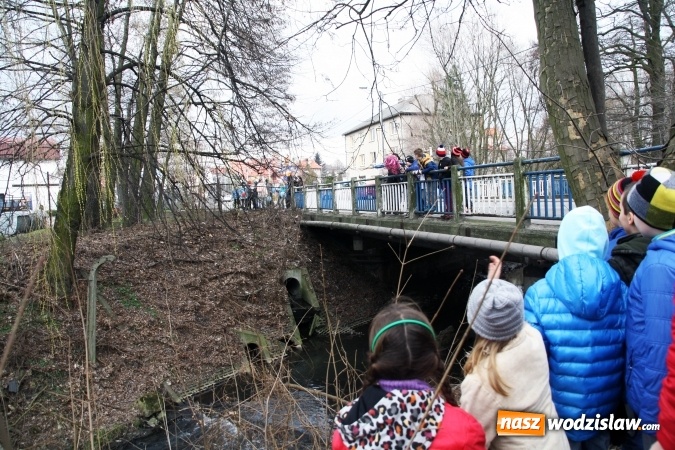 Zdjęcie w galerii na portalu naszwodzislaw.com: Wodzisławskie przedszkolaki powitały wiosnę wiadomości z regionu