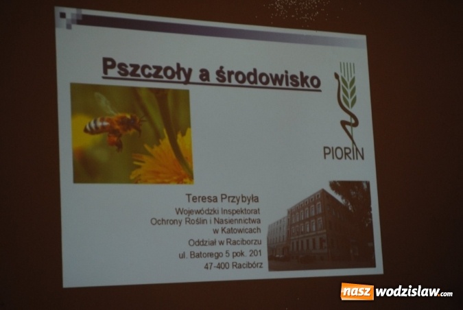 Zdjęcie w galerii na portalu naszwodzislaw.com: Radlin: Warsztaty ogrodnicze pod znakiem pszczoły wiadomości z regionu