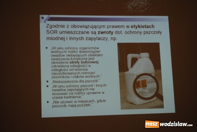 Zdjęcie w galerii na portalu naszwodzislaw.com: Radlin: Warsztaty ogrodnicze pod znakiem pszczoły wiadomości z regionu