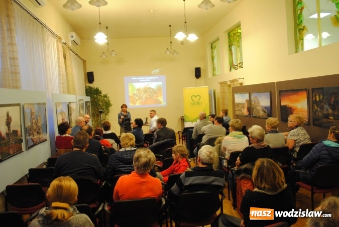 Zdjęcie w galerii na portalu naszwodzislaw.com: Radlin: Warsztaty ogrodnicze pod znakiem pszczoły wiadomości z regionu