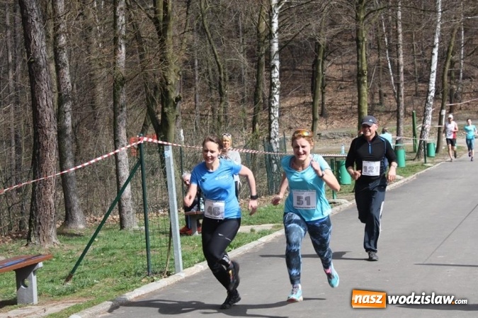 Zdjęcie w galerii na portalu naszwodzislaw.com: 139 os&oacute;b wystartowało w kolejnej edycji Błękitnej Wstęgi Balatonu wiadomości z regionu