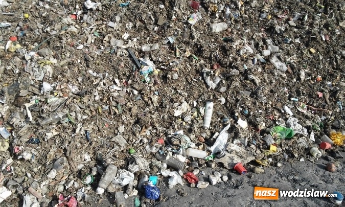 Zdjęcie w galerii na portalu naszwodzislaw.com: Pod hałdą kopalnianą w Połomi odkryto duże wysypisko odpadów - trwają kroki ws. ich usunięcia  wiadomości z regionu