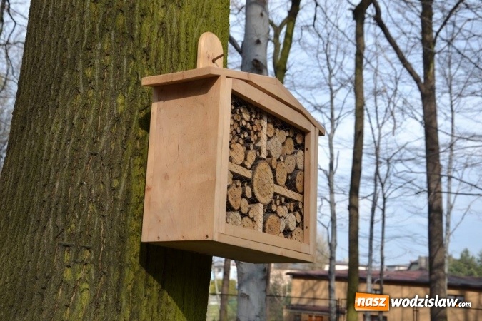 Zdjęcie w galerii na portalu naszwodzislaw.com: W Radlinie stanęły hotele... dla owadów  wiadomości z regionu