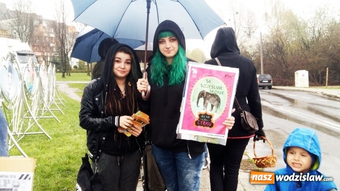 Zdjęcie w galerii na portalu naszwodzislaw.com: Protestowali przed cyrkiem. Są przeciwko męczeniu zwierząt wiadomości z regionu
