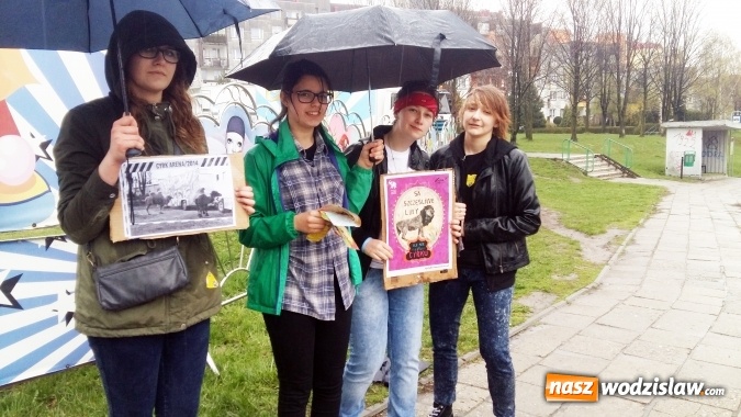 Zdjęcie w galerii na portalu naszwodzislaw.com: Protestowali przed cyrkiem. Są przeciwko męczeniu zwierząt wiadomości z regionu