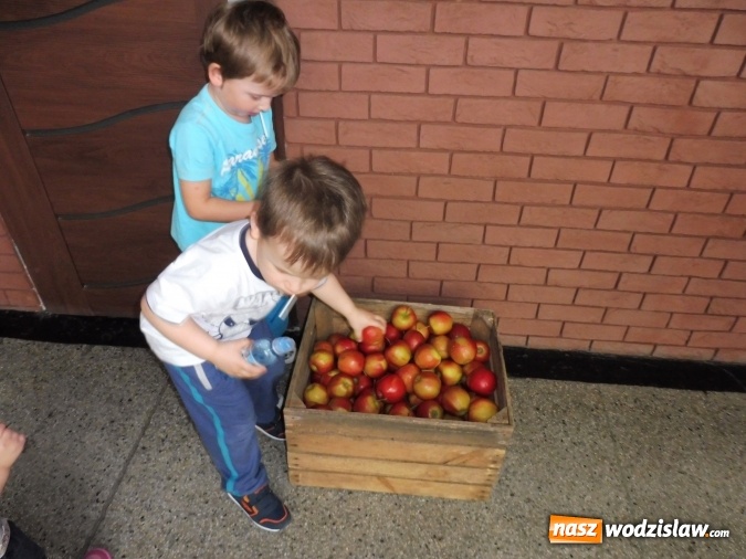 Zdjęcie w galerii na portalu naszwodzislaw.com: Mali sportowcy. Dzieci z PP numer 6 aktywnie spędzały czas wiadomości z regionu