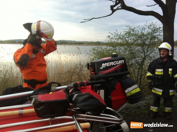 Zdjęcie w galerii na portalu naszwodzislaw.com: Lubomscy strażacy ratowali łabędzia wiadomości z regionu