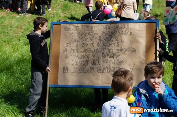 Zdjęcie w galerii na portalu naszwodzislaw.com: Trzy Wzgórza mają własne hotele... dla owadów! wiadomości z regionu