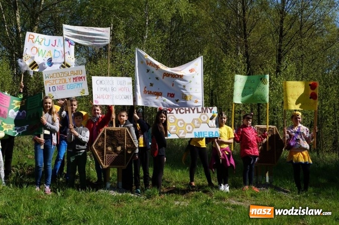 Zdjęcie w galerii na portalu naszwodzislaw.com: Trzy Wzgórza mają własne hotele... dla owadów! wiadomości z regionu