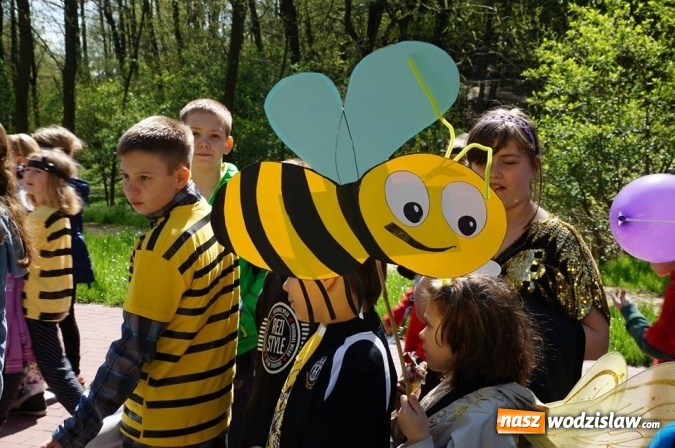 Zdjęcie w galerii na portalu naszwodzislaw.com: Trzy Wzgórza mają własne hotele... dla owadów! wiadomości z regionu
