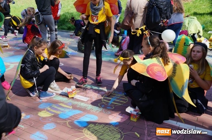 Zdjęcie w galerii na portalu naszwodzislaw.com: Trzy Wzgórza mają własne hotele... dla owadów! wiadomości z regionu