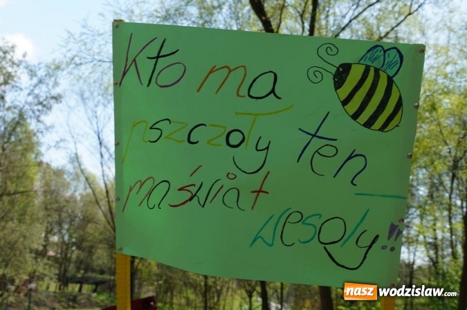 Zdjęcie w galerii na portalu naszwodzislaw.com: Trzy Wzgórza mają własne hotele... dla owadów! wiadomości z regionu