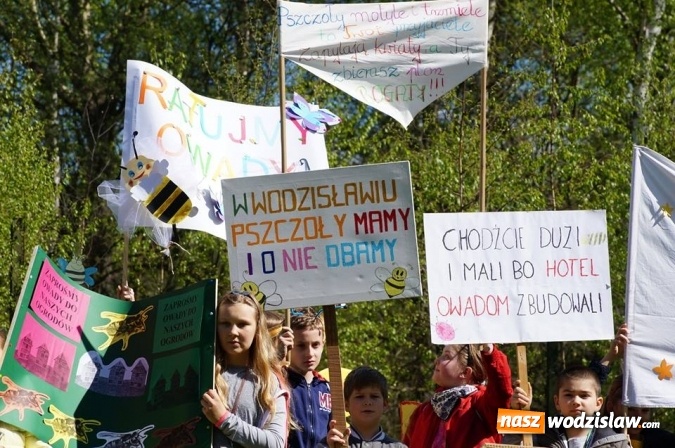 Zdjęcie w galerii na portalu naszwodzislaw.com: Trzy Wzgórza mają własne hotele... dla owadów! wiadomości z regionu