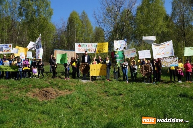 Zdjęcie w galerii na portalu naszwodzislaw.com: Trzy Wzgórza mają własne hotele... dla owadów! wiadomości z regionu