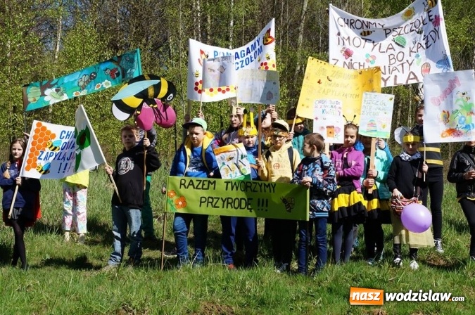Zdjęcie w galerii na portalu naszwodzislaw.com: Trzy Wzgórza mają własne hotele... dla owadów! wiadomości z regionu