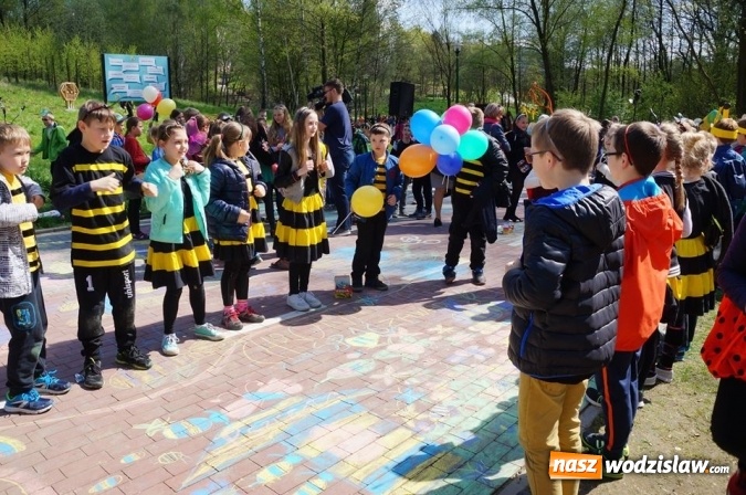 Zdjęcie w galerii na portalu naszwodzislaw.com: Trzy Wzgórza mają własne hotele... dla owadów! wiadomości z regionu