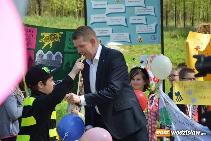 Zdjęcie w galerii na portalu naszwodzislaw.com: Trzy Wzgórza mają własne hotele... dla owadów! wiadomości z regionu