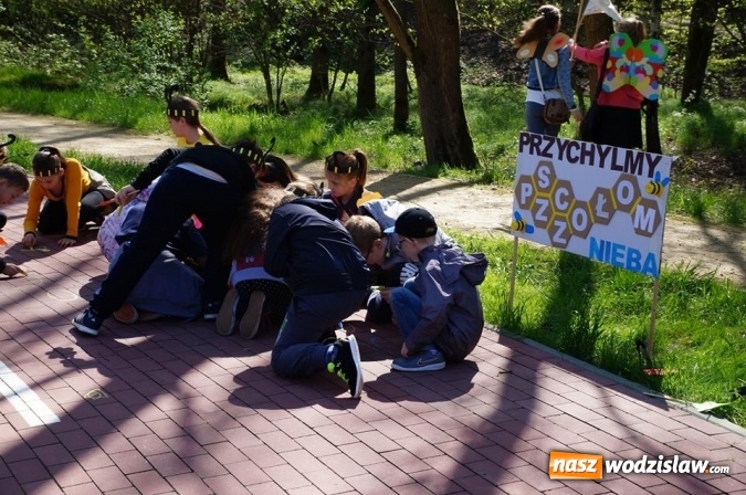 Zdjęcie w galerii na portalu naszwodzislaw.com: Trzy Wzgórza mają własne hotele... dla owadów! wiadomości z regionu