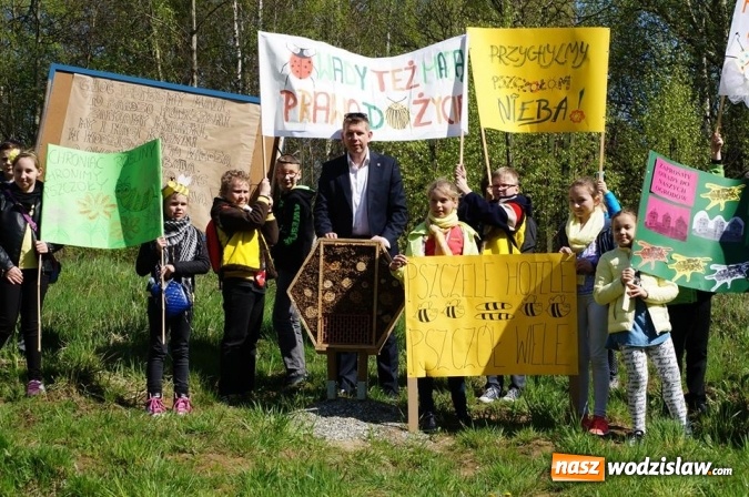 Zdjęcie w galerii na portalu naszwodzislaw.com: Trzy Wzgórza mają własne hotele... dla owadów! wiadomości z regionu