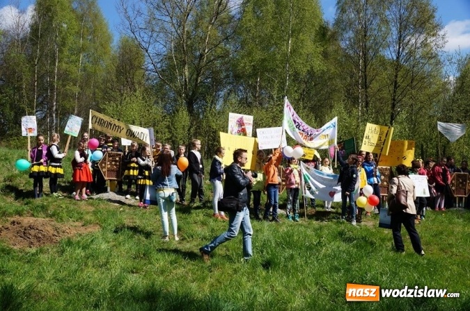 Zdjęcie w galerii na portalu naszwodzislaw.com: Trzy Wzgórza mają własne hotele... dla owadów! wiadomości z regionu