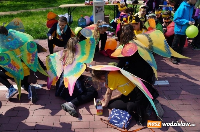 Zdjęcie w galerii na portalu naszwodzislaw.com: Trzy Wzgórza mają własne hotele... dla owadów! wiadomości z regionu