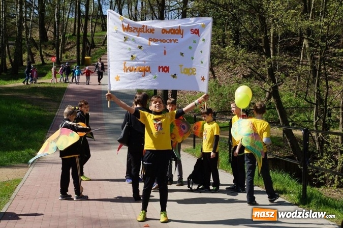 Zdjęcie w galerii na portalu naszwodzislaw.com: Trzy Wzgórza mają własne hotele... dla owadów! wiadomości z regionu